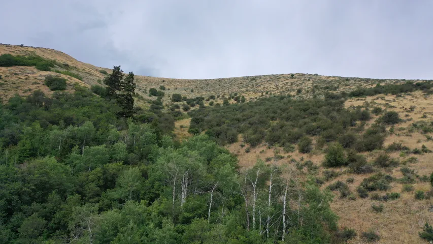 View of mountain background