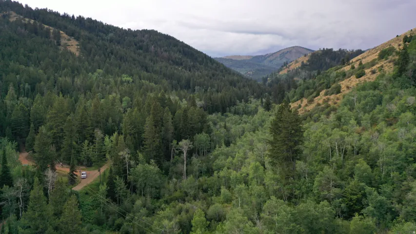 View of mountain background with a forest