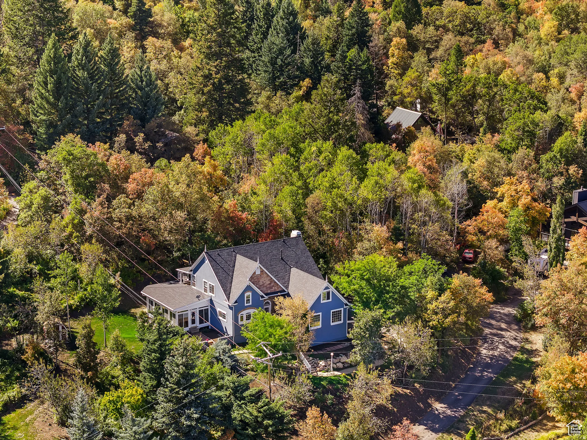 Gable-roof property surrounded by mature deciduous and evergreen trees, featuring blue siding and a dark shingle roof
