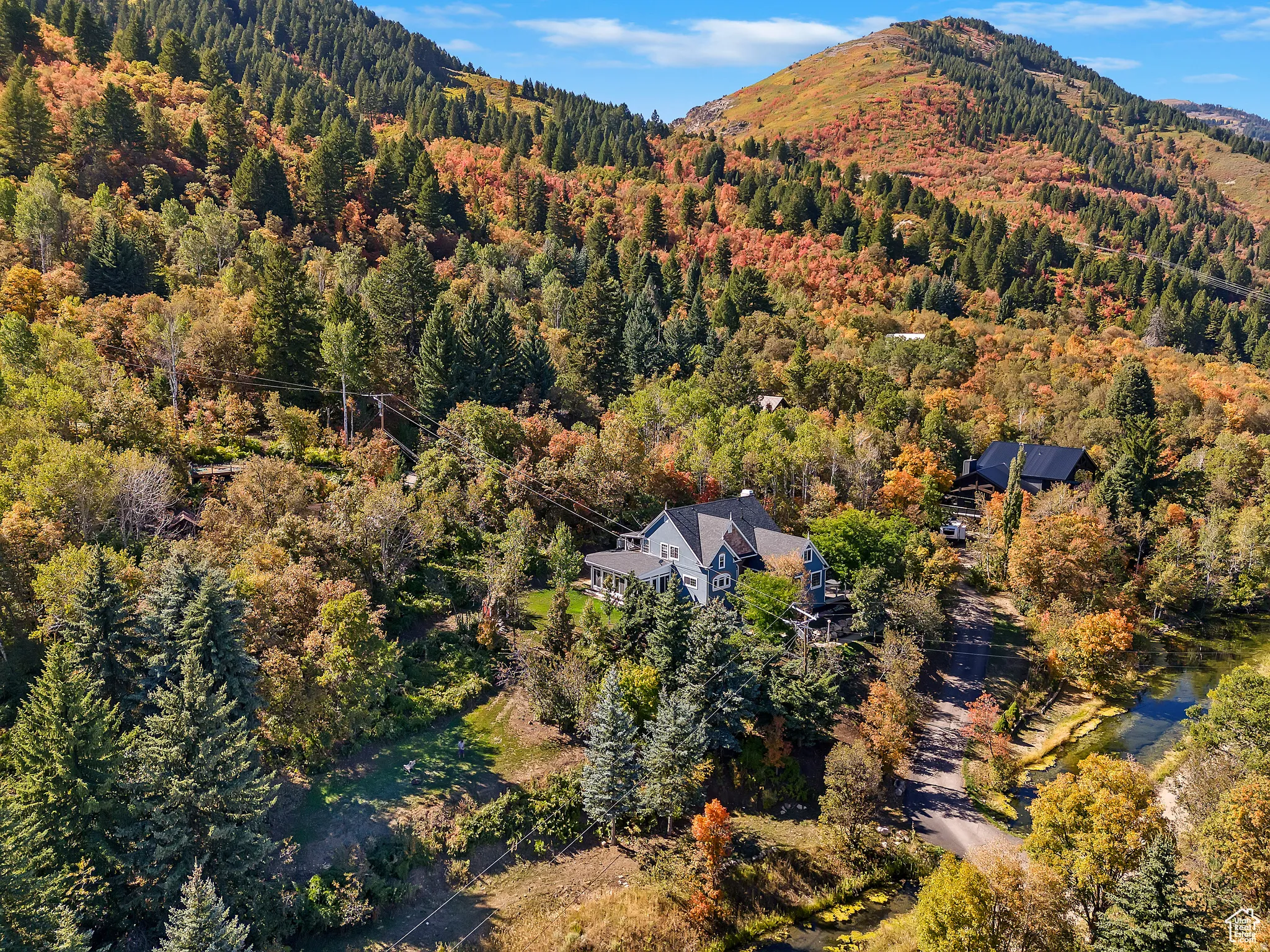 Expansive property nestled among mature trees with vibrant autumn foliage