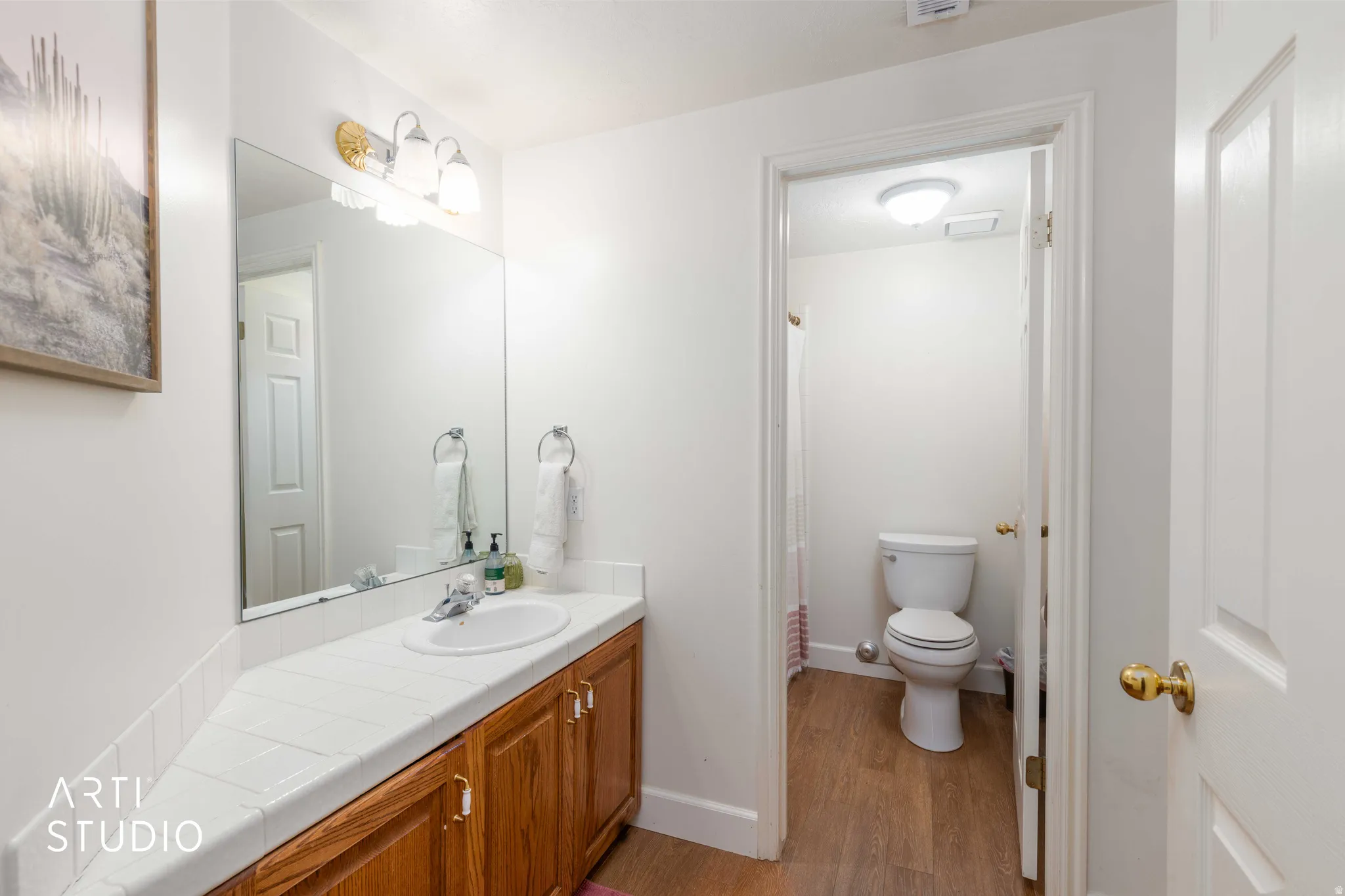 Bathroom featuring vanity and light wood-type flooring