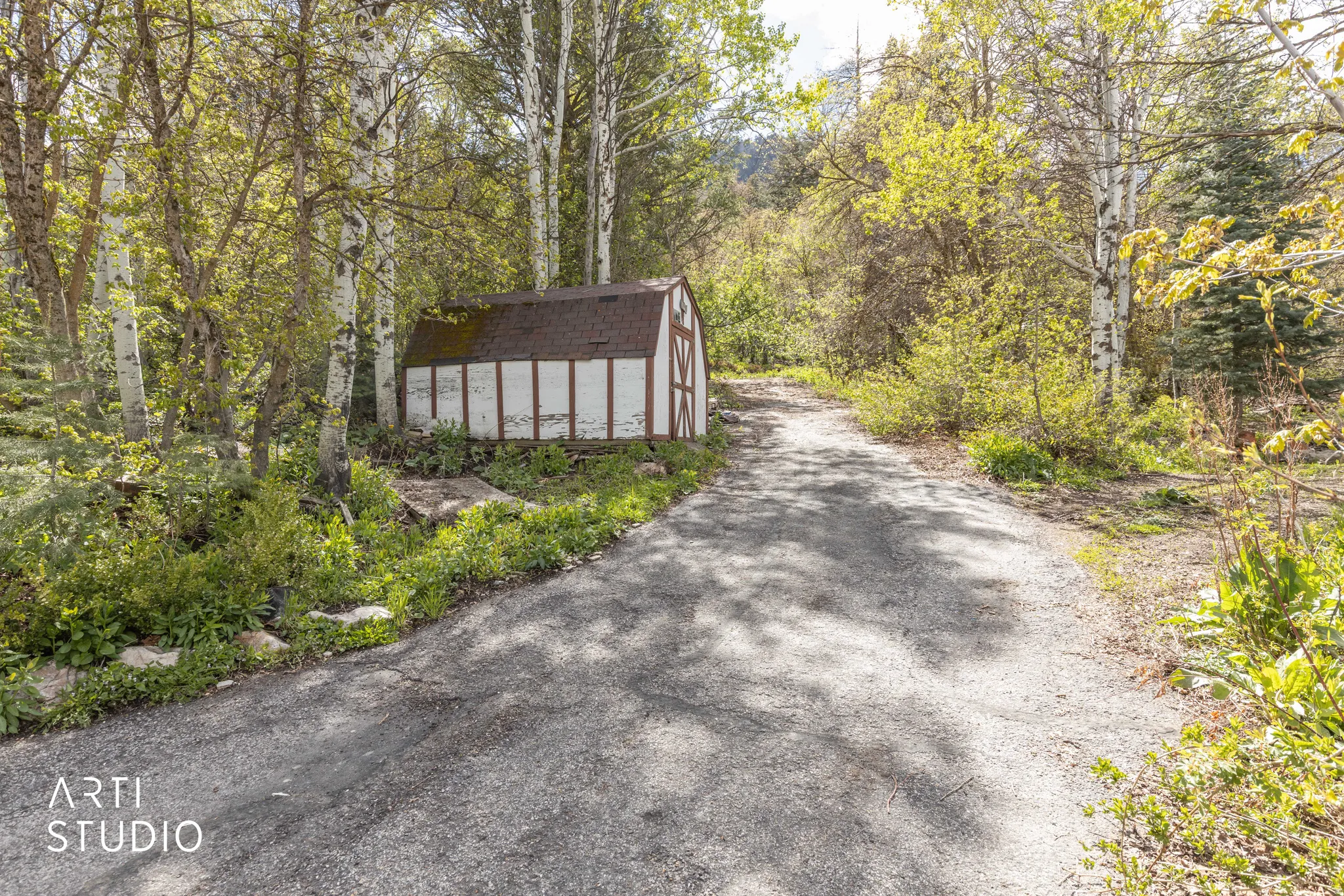 View of asphalt driveway with a view of trees