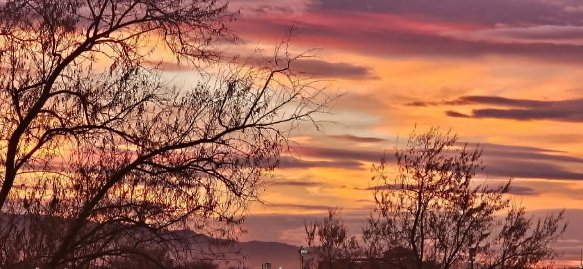 View of nature at dusk