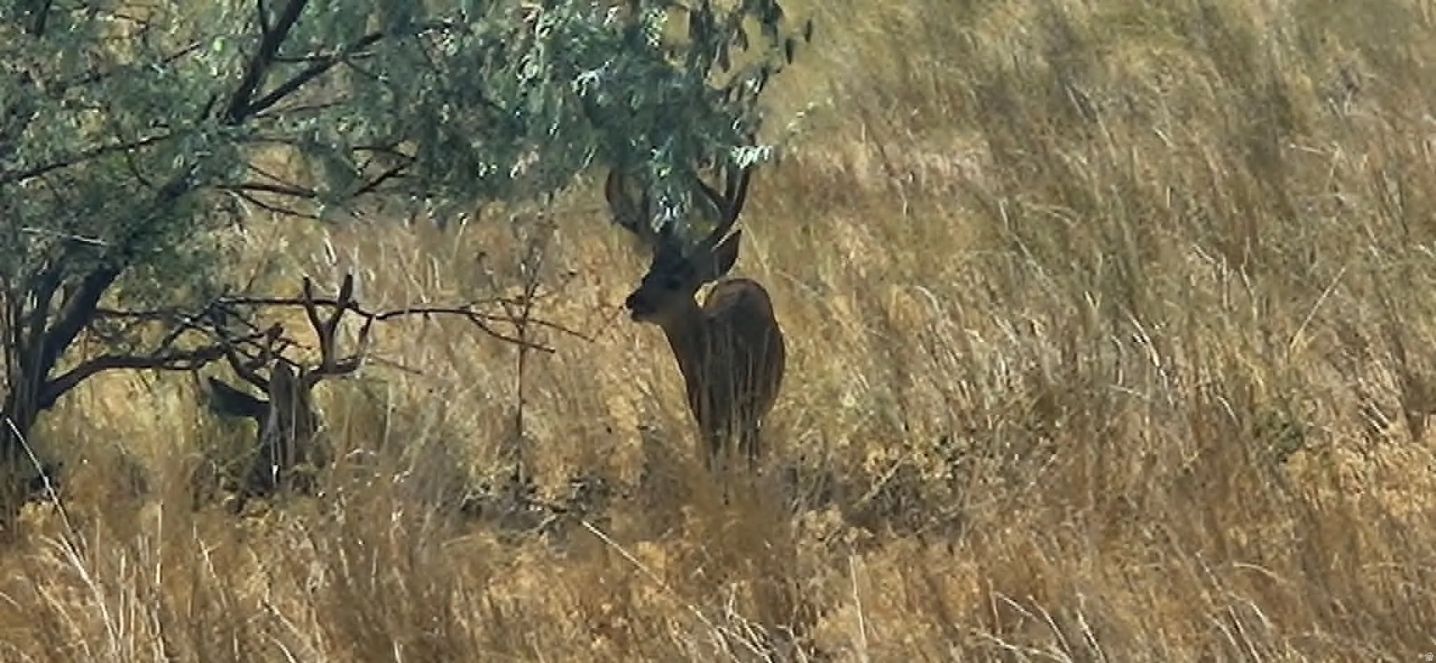 View of nature