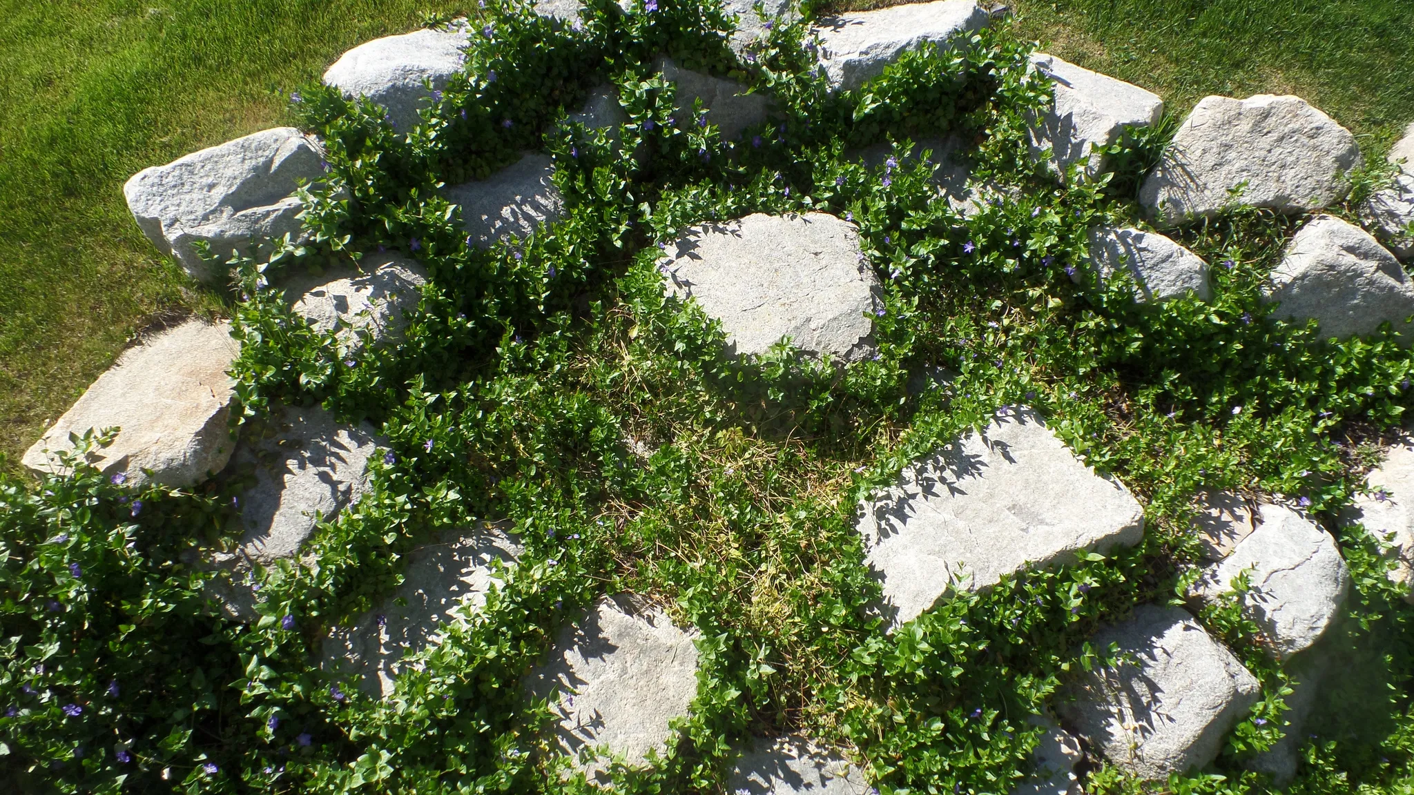Backyard Rock Garden