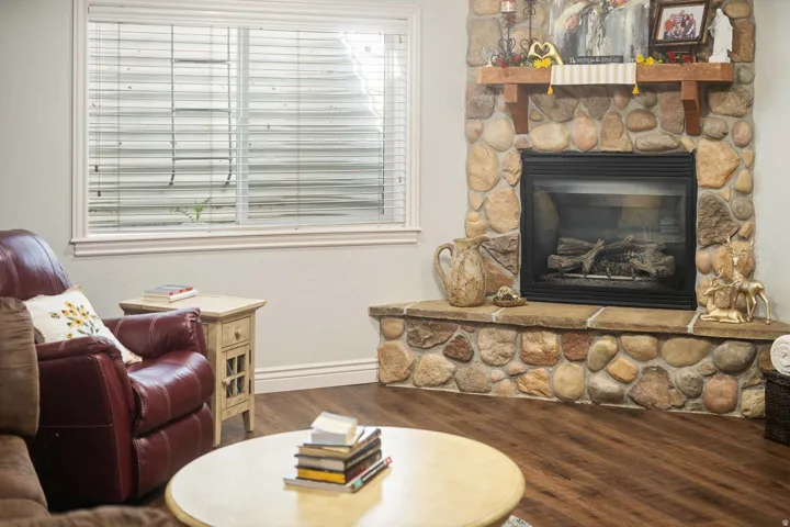 Living area featuring dark wood-style floors and a stone fireplace