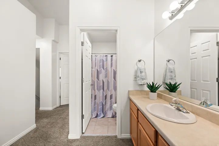 Bathroom featuring vanity, light carpet, a shower with curtain, and light tile patterned flooring