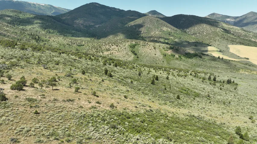 View of mountain background