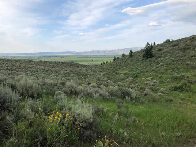 Mountain view