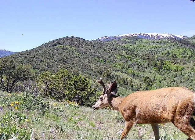 View of mountain backdrop