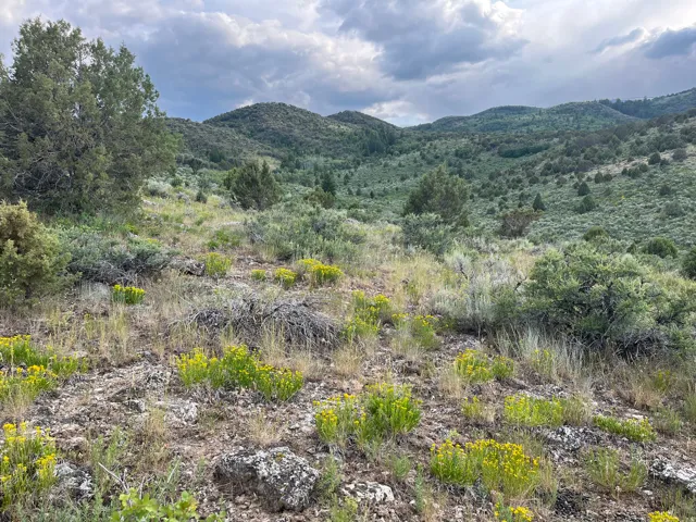 View of mountain backdrop