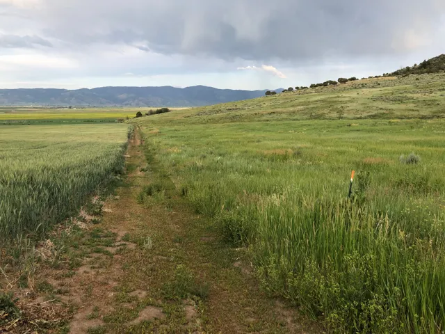 Mountain view featuring rural landscape