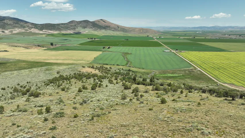 View of mountain background featuring rural landscape and rows of crops