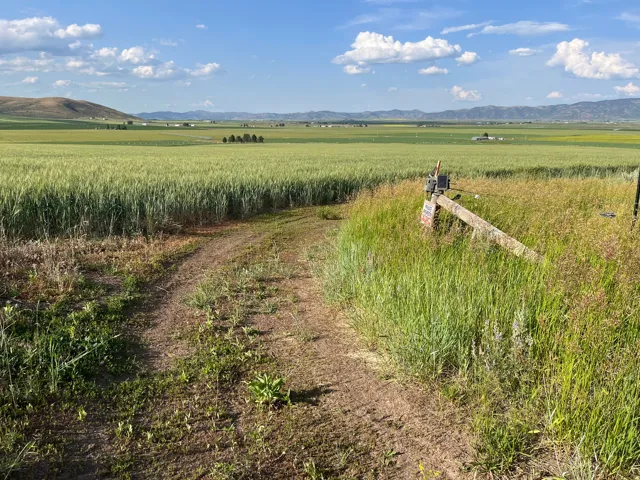 View of road with a mountain view, a rural view, and agricultural area