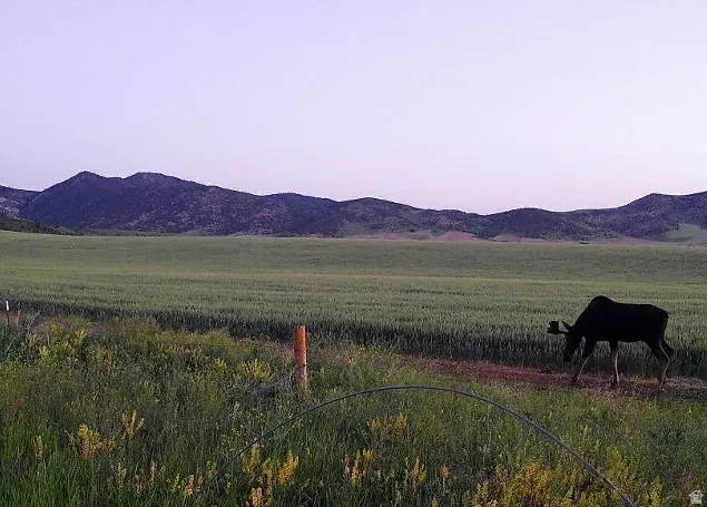 View of mountain backdrop featuring rural landscape