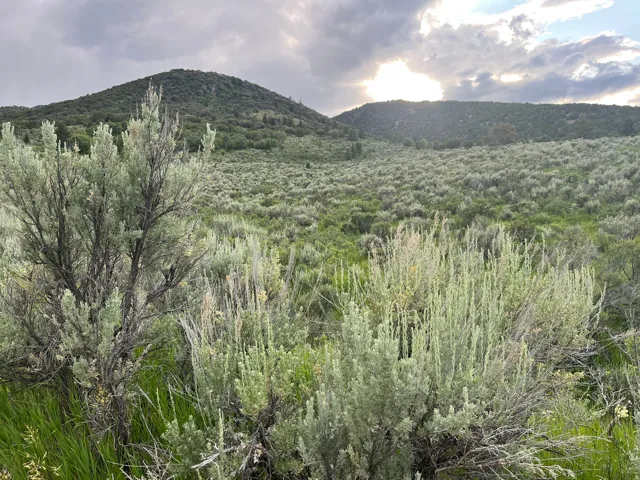 View of mountain background