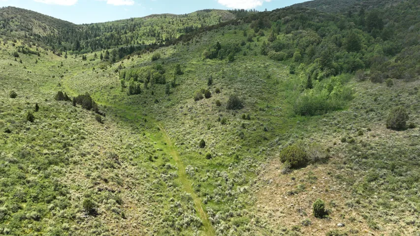 View of mountain background featuring a forest