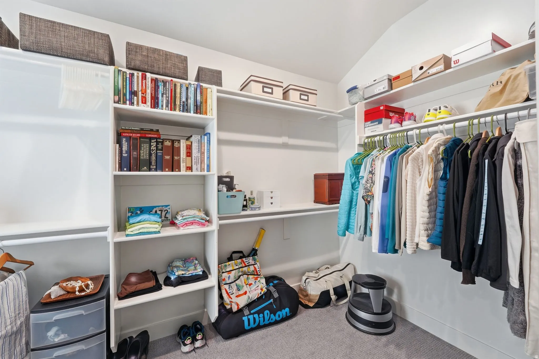 Walk in closet with carpet floors and vaulted ceiling