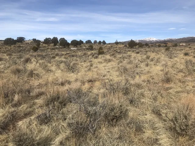 Rd, Fruitland, Utah 84027