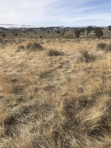Rd, Fruitland, Utah 84027