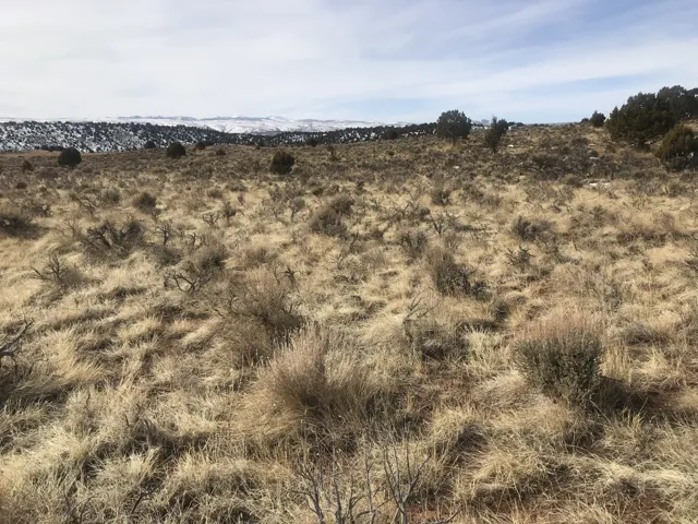 Rd, Fruitland, Utah 84027