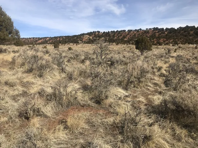 Rd, Fruitland, Utah 84027