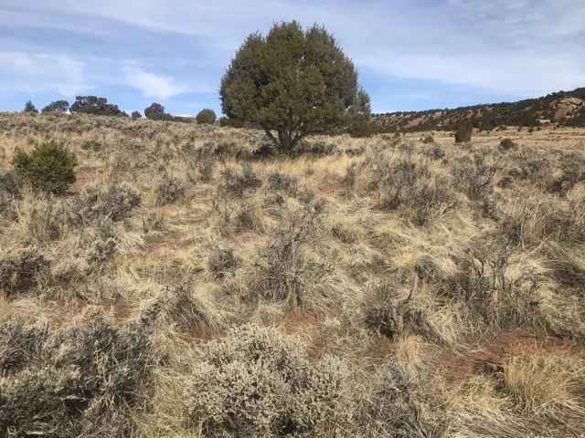 Rd, Fruitland, Utah 84027