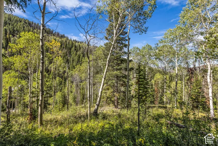 8550 N Uinta Dr, Oakley, Utah 84055