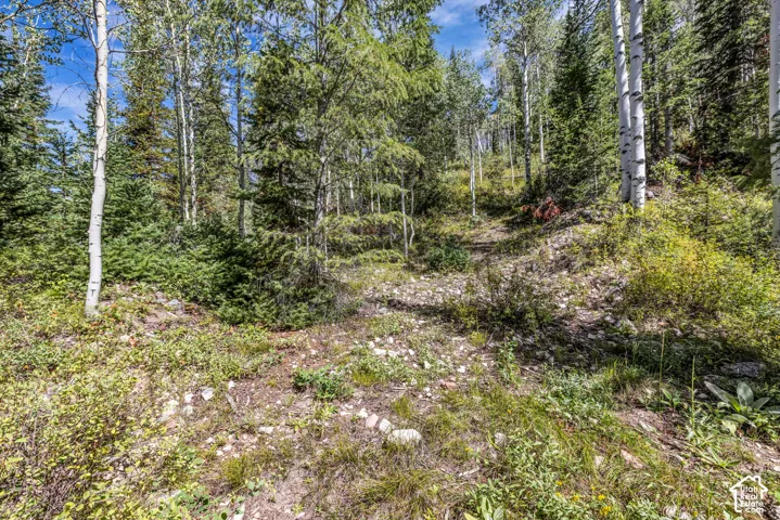 8550 N Uinta Dr, Oakley, Utah 84055