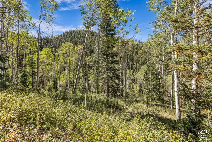 8550 N Uinta Dr, Oakley, Utah 84055