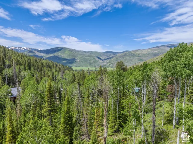 8550 N Uinta Dr, Oakley, Utah 84055