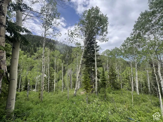 8550 N Uinta Dr, Oakley, Utah 84055