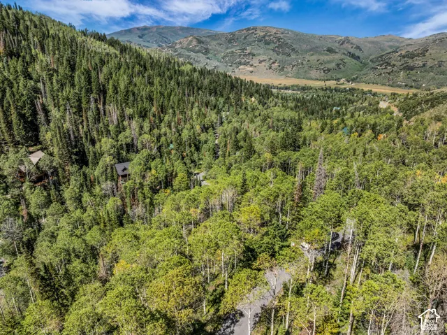 8550 N Uinta Dr, Oakley, Utah 84055