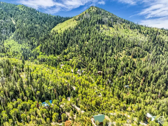 8550 N Uinta Dr, Oakley, Utah 84055