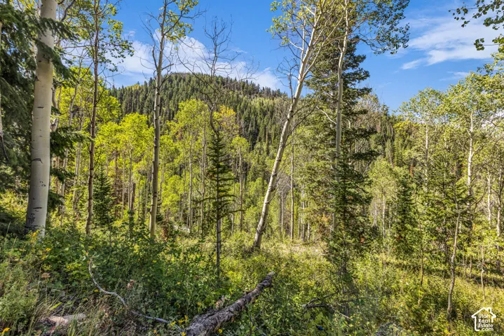 8550 N Uinta Dr, Oakley, Utah 84055