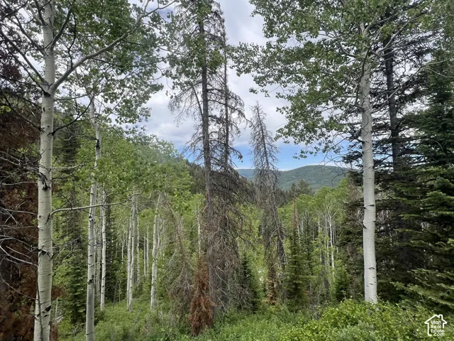 8550 N Uinta Dr, Oakley, Utah 84055