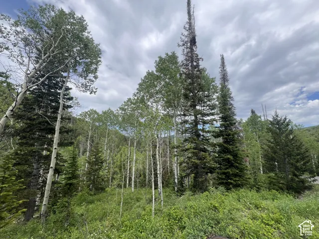 8550 N Uinta Dr, Oakley, Utah 84055