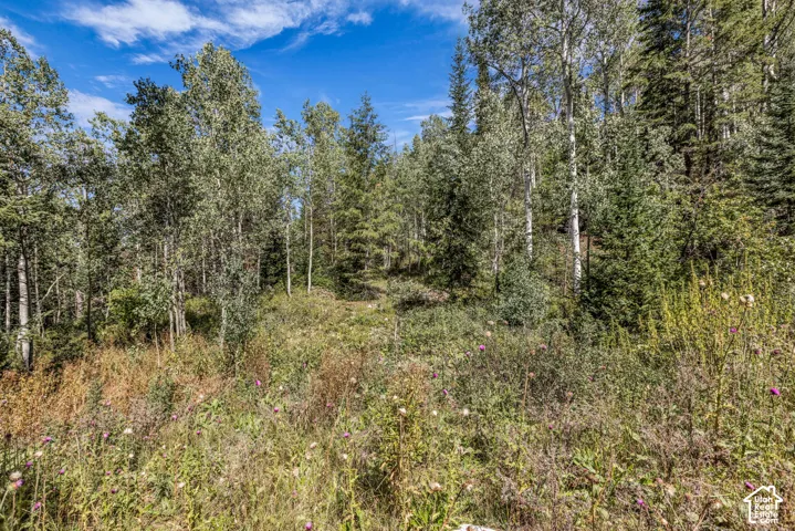 8550 N Uinta Dr, Oakley, Utah 84055