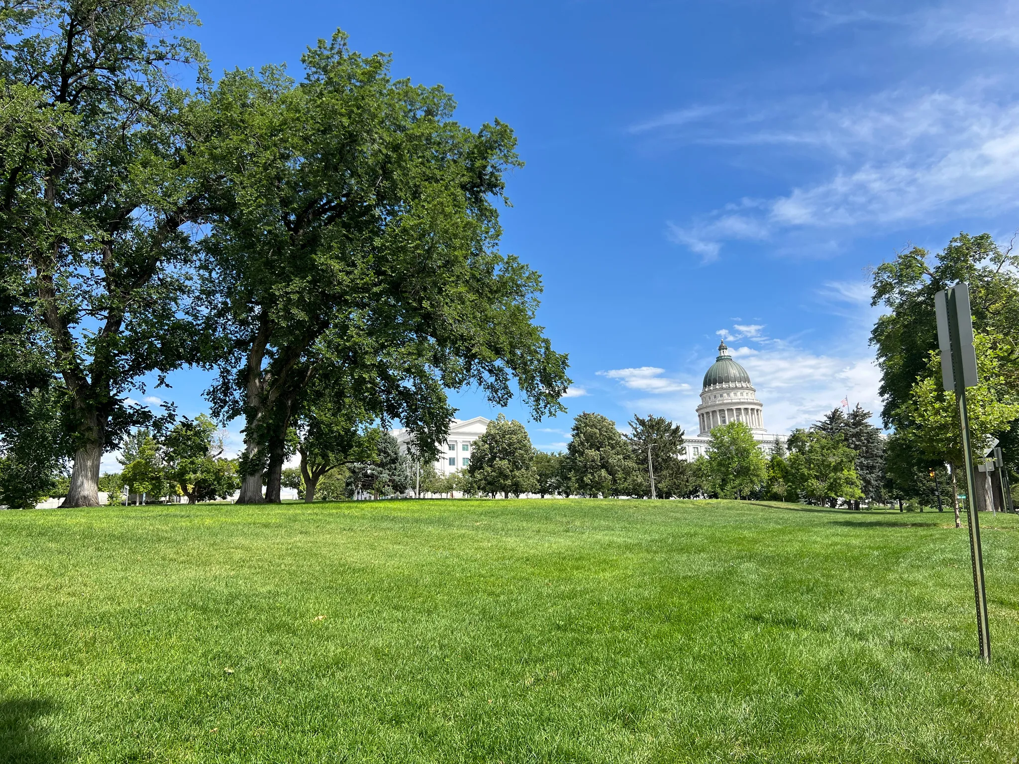 Expansive green space featuring a manicured lawn, mature trees, and distant architectural dome structure