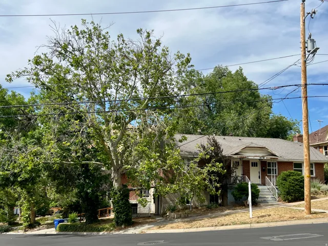 Single-story brick residence with a gabled entry porch, mature deciduous trees, and a sloped front yard