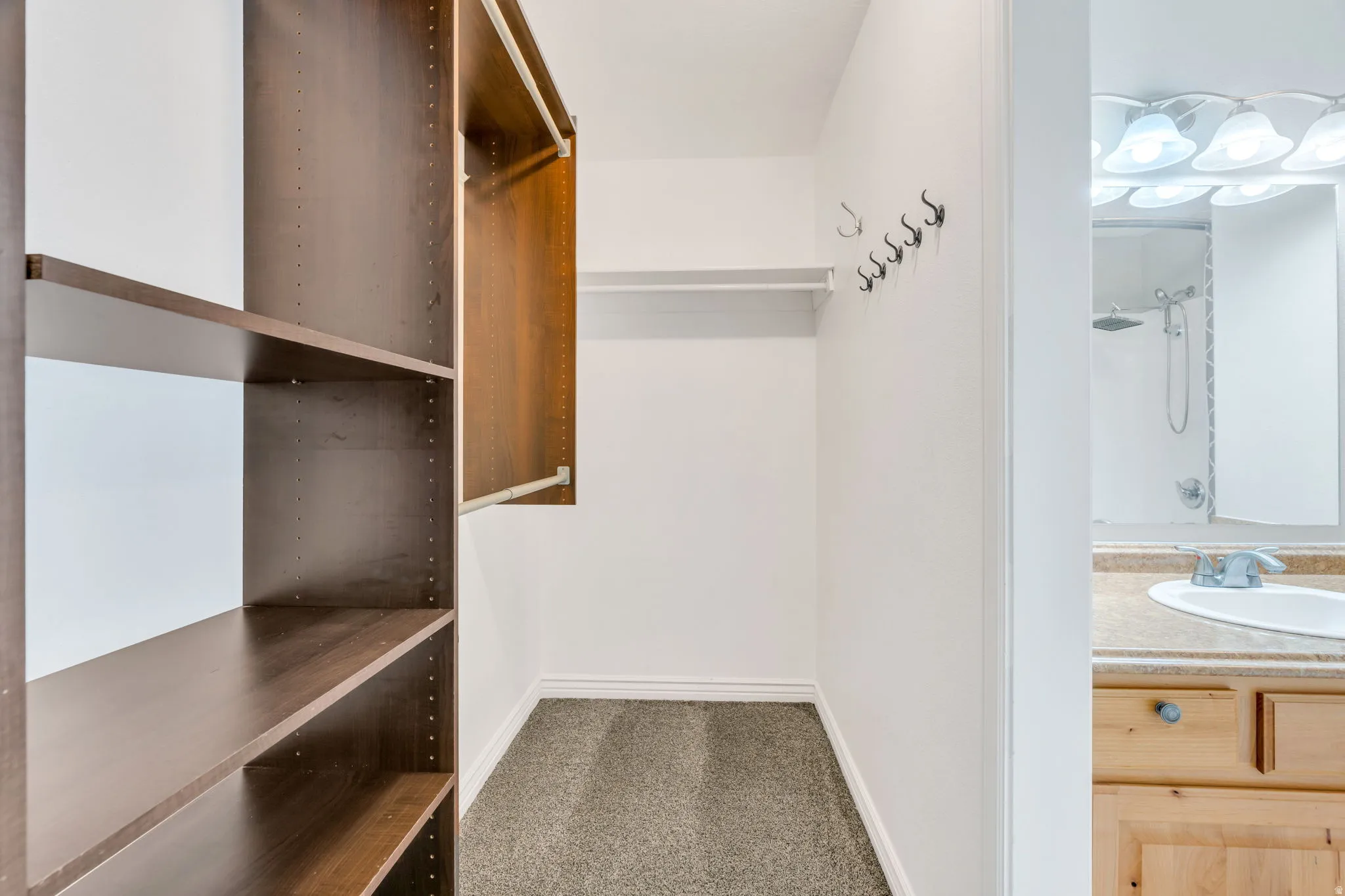 Walk in closet with carpet floors and a sink