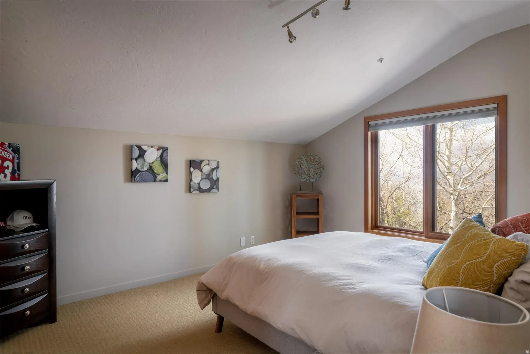 Carpeted bedroom featuring lofted ceiling and track lighting