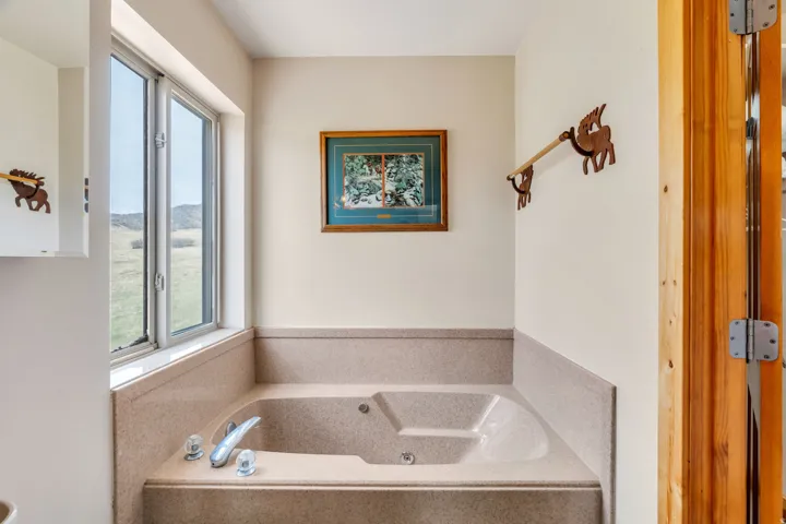 Bathroom with a garden tub