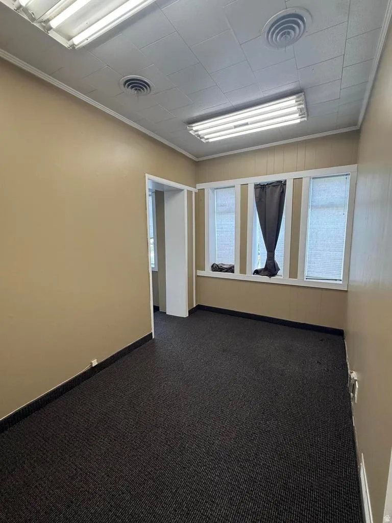 Empty room with dark carpet, crown molding, and plenty of natural light