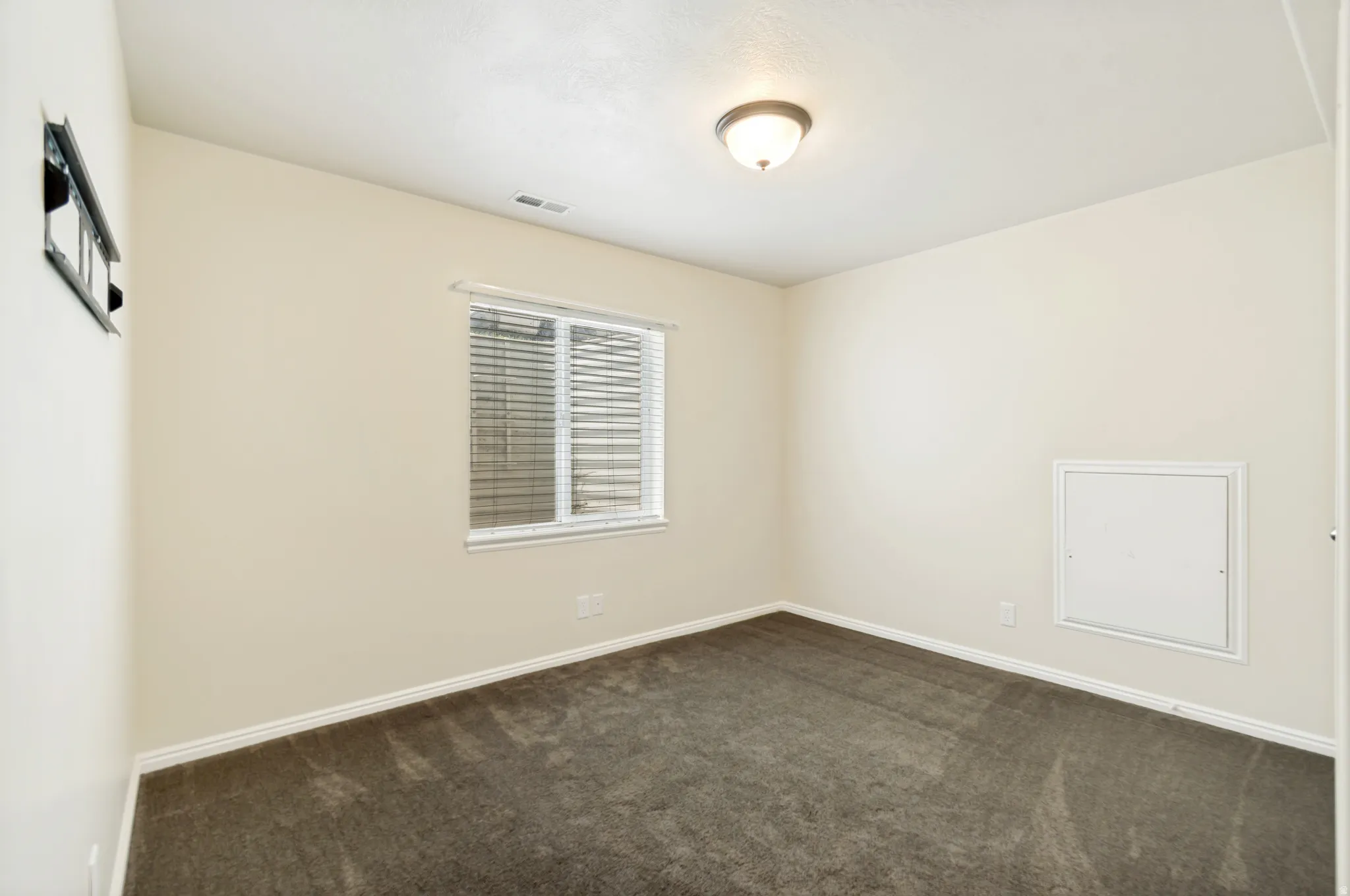 Basement Bedroom (2 of 3)