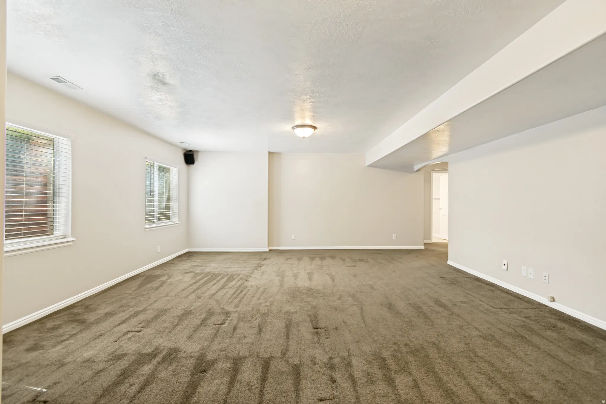Basement Family Room