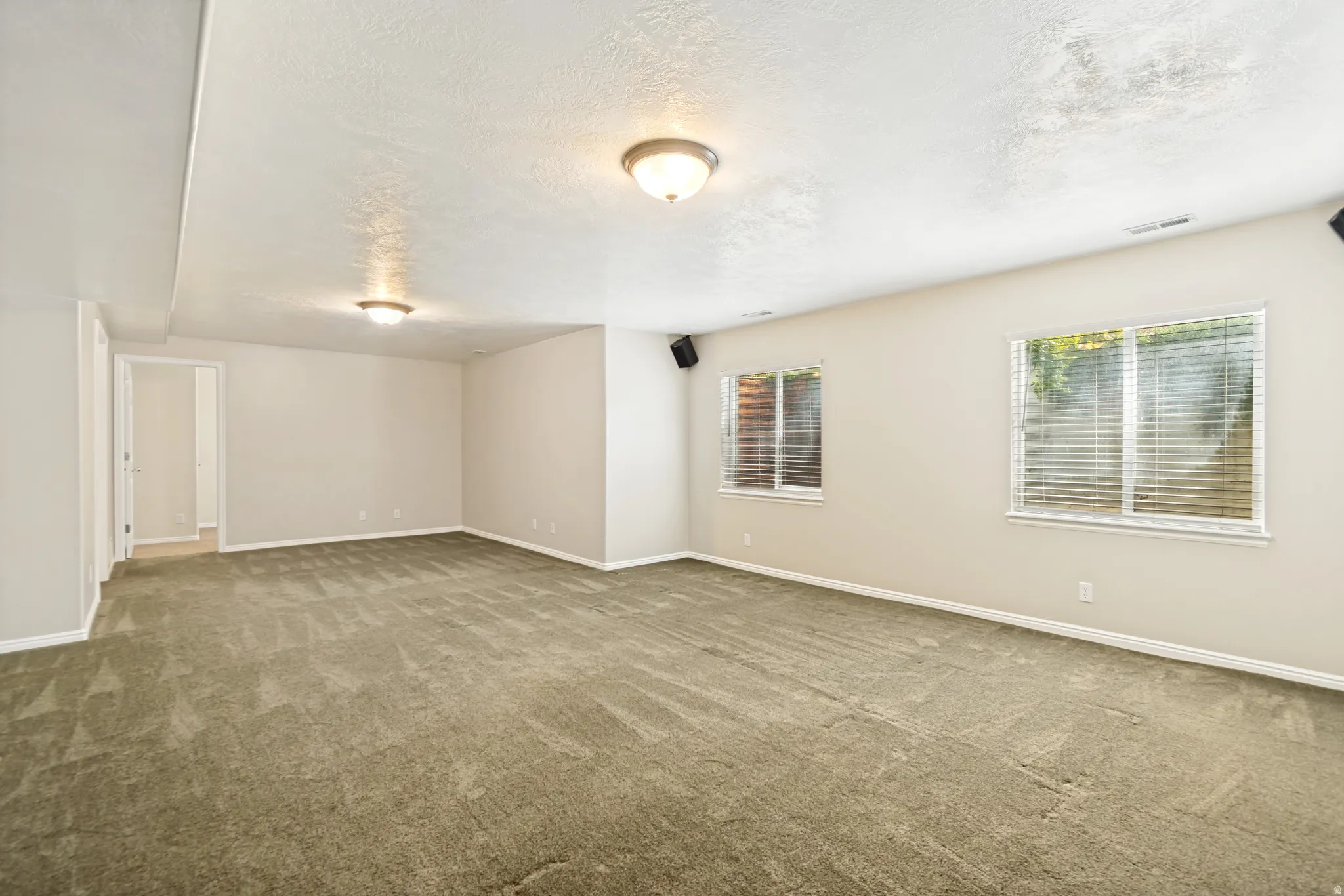 Basement Family Room