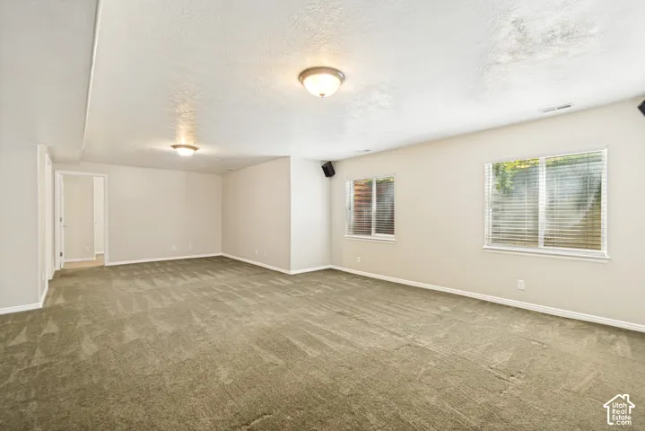 Basement Family Room