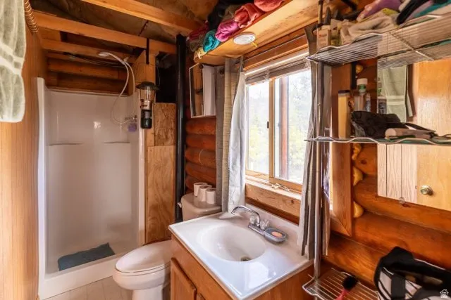 Full bath featuring rustic walls, vanity, and a shower stall