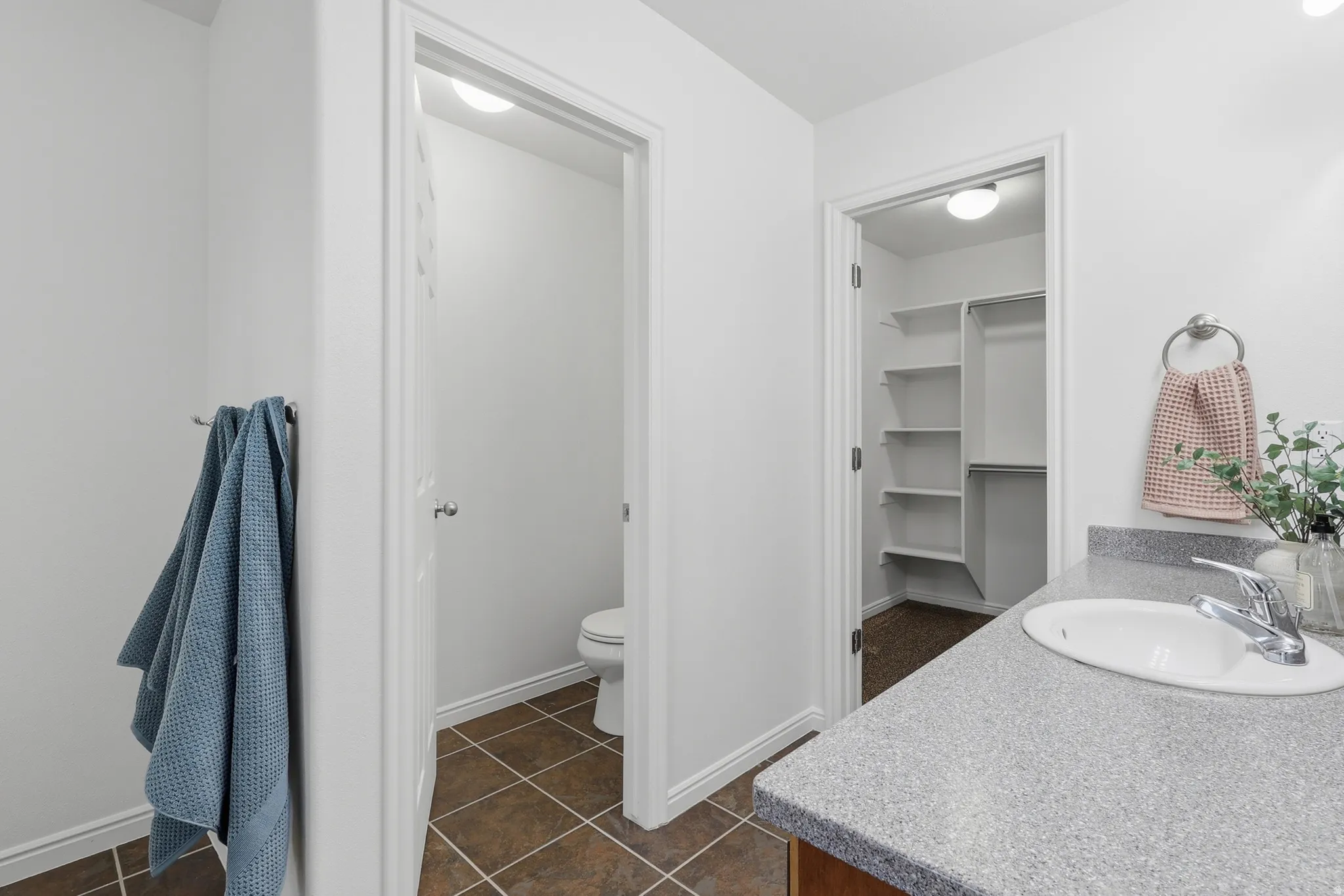 Bathroom with vanity, a walk in closet, and dark tile patterned flooring